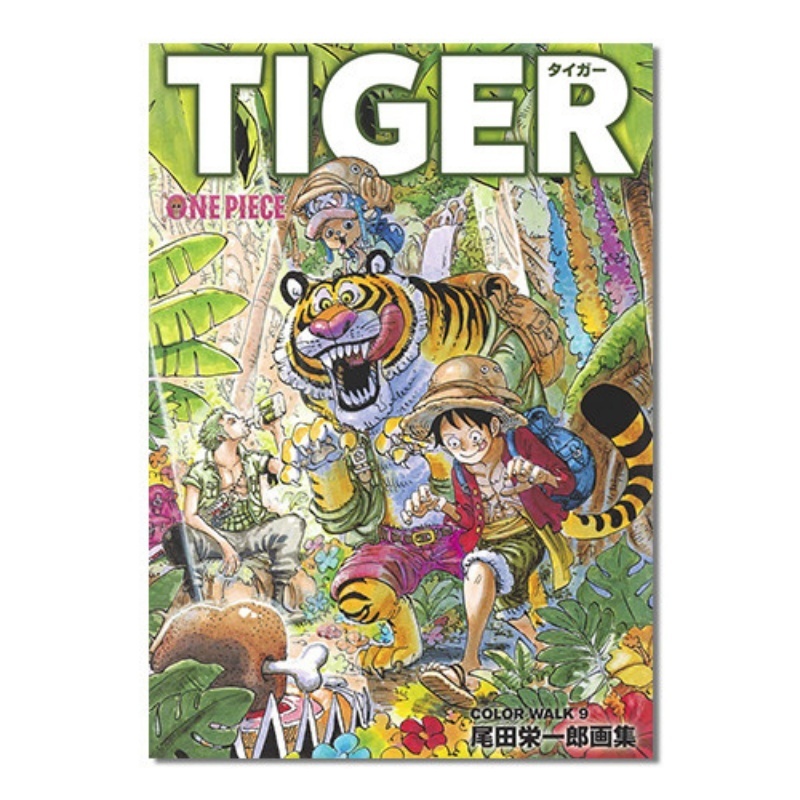 One Piece Illustration Book Co - Art Book Illustration review and price