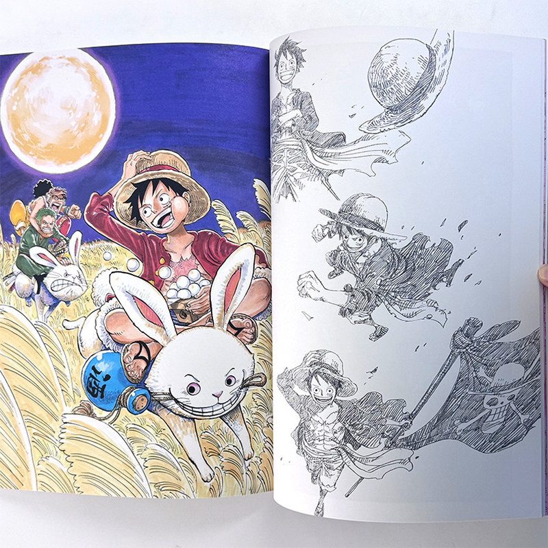 One Piece Illustration Book Co - Art Book Illustration review and price